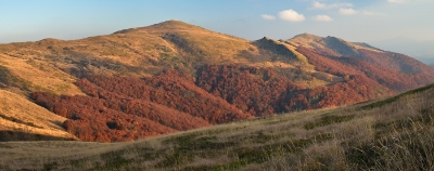  BGF2231  BGF2233-3 i